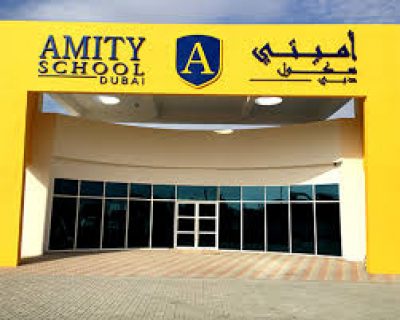 Amity School L.L.C