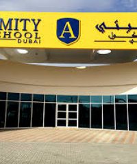 Amity School L.L.C