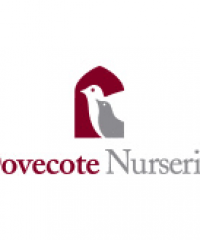 Dovecote Nursery Jumeirah