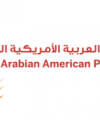 Dubai Arabian American Private School